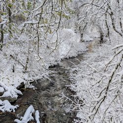 Millcreek Canyon