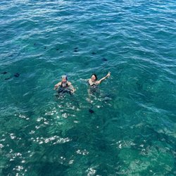 Julie's Travel - Coral gardens tour with julies travel