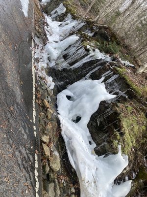 Mount Greylock State Reservation by null