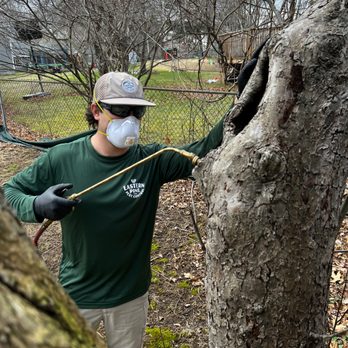 Eastern Pine Pest Control - Pest Control Near Me - Essex, Massachusetts Eastern Pine Pest Control - Pest Control Near Me - Essex, Massachusetts