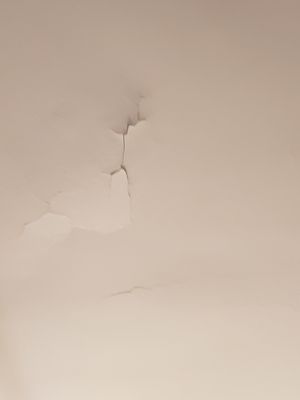 Wynne Plumbing & Heating Company Logo