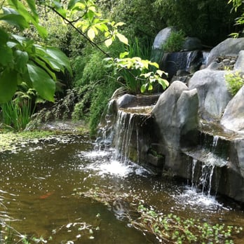 Bamboo Giant Nursery and Gardens - Koi pond - Nurseries & Gardening Near Me - Aptos, California Bamboo Giant Nursery and Gardens - Koi pond - Nurseries & Gardening Near Me - Aptos, California