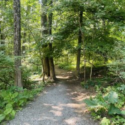 Lisha Kill Natural Area