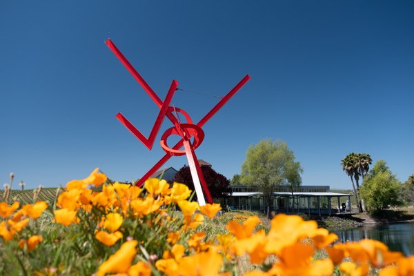 di Rosa Center for Contemporary Art by null