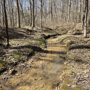 Tishomingo State Park - Parks Near Me - Tishomingo, Mississippi