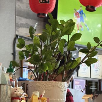 Kumako Ramen Den - Inside - Ramen Near Me - San Jose, California