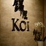Photo of Koi