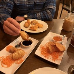 Chim Thai Cuisine - Crab Rangoon and Gyoza