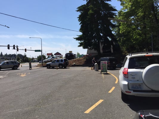 Elephant Car Wash by null