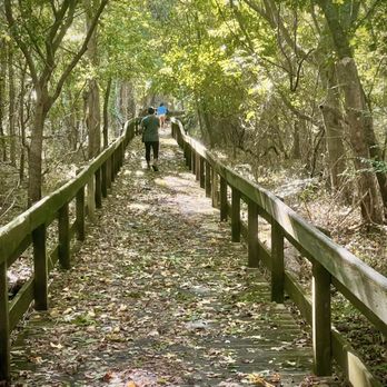 Cape Charles Natural Preserve - Parks Near Me Cape Charles Natural Preserve - Parks Near Me
