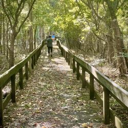Cape Charles Natural Preserve