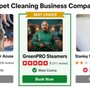 GreenPRO Steamers
