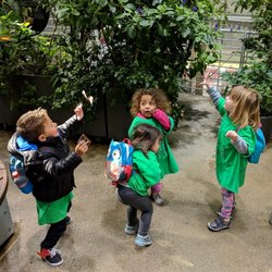 Kids Kollege Preschool & Child Care Center - Field Trip to Academy of Sciences