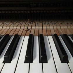 Tuna Valley Piano Service