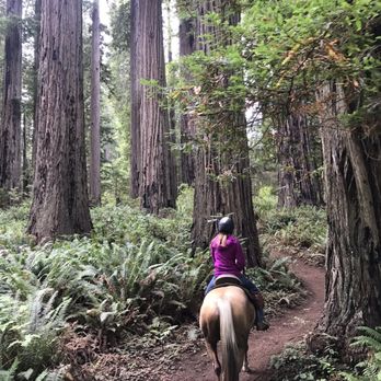 Redwood Creek Buckarettes - Katlynn leading the way - Horseback Riding Near Me - Orick, California Redwood Creek Buckarettes - Katlynn leading the way - Horseback Riding Near Me - Orick, California