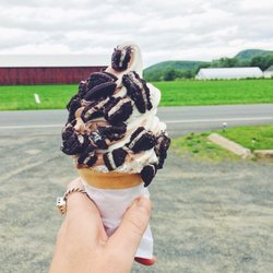 Creamy Delights New York Style Ice Cream