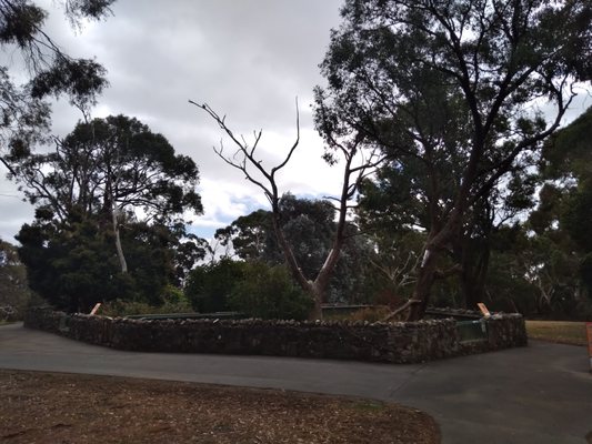 Cleland Wildlife Park by null