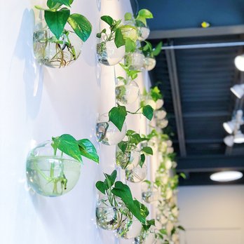 Tiki Tea - Cute hanging planters - Coffee & Tea Near Me - Portland, Oregon Tiki Tea - Cute hanging planters - Coffee & Tea Near Me - Portland, Oregon