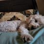 Photo of Fillmore Veterinary Hospital