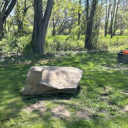 Shep's Yard