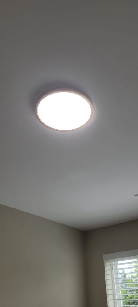 Slide of Petar Tachev