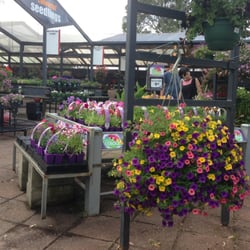 Gardenworld Nursery - Garden world Nursery