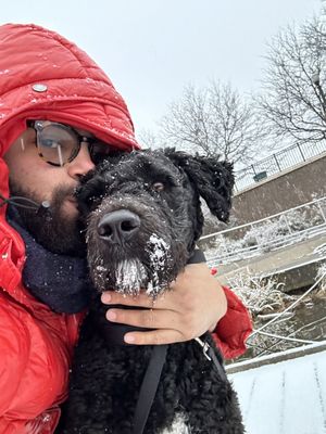 PAWS Chicago by null