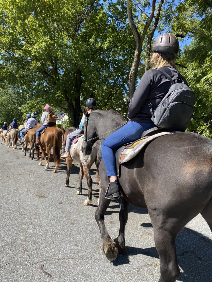 Cozy Quarters Farm Logo
