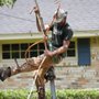 Sunnybrook Tree Service