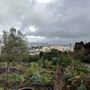 Photo of Clipper Terrace Community Garden