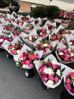 Queen Anne Farmers Market by null