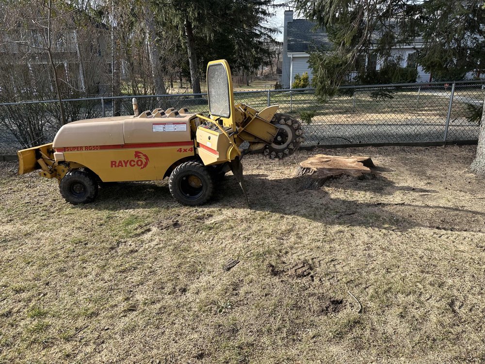 Eugene M Brennan Tree Service - tree service in Vauxhall, NJ