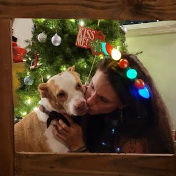 Hilo Veterinary Clinic - Veterinarians Near Me - Hilo, Hawaii