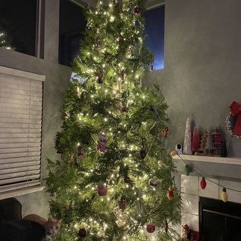 Silveyville Christmas Tree Farm - Perfect tree! - Christmas Trees Near Me - Dixon, California Silveyville Christmas Tree Farm - Perfect tree! - Christmas Trees Near Me - Dixon, California