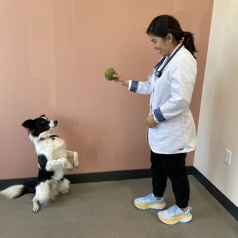 Narra Veterinary Clinic - Veterinarians Near Me - Portland, Oregon