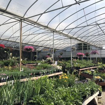 Reems Creek Nursery - Herbs and perennials - Nurseries & Gardening Near Me - Weaverville, North Carolina