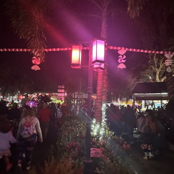 Christmas In The Wild - Festivals Near Me - Tampa, Florida Christmas In The Wild - Festivals Near Me - Tampa, Florida