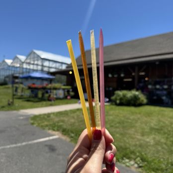 Dondero Orchards - Honey sticks - Farmers Market Near Me - Glastonbury, Connecticut Dondero Orchards - Honey sticks - Farmers Market Near Me - Glastonbury, Connecticut