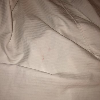 DoubleTree Suites by Hilton Hotel McAllen - Fresh lipstick stains. - Hotels Near Me - Mcallen, Texas DoubleTree Suites by Hilton Hotel McAllen - Fresh lipstick stains. - Hotels Near Me - Mcallen, Texas