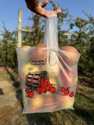 Terhune Orchards by null