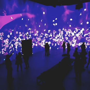ARTECHOUSE DC - Art Galleries Near Me - Washington, DC, District of Columbia