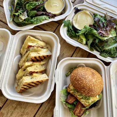 Hog Island Larkspur by null