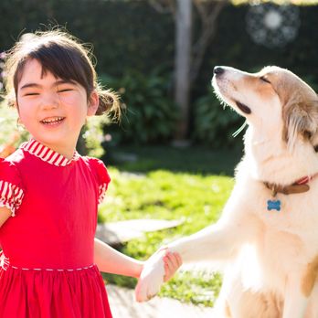 Barkeley K-9 University - Pet Training Near Me Barkeley K-9 University - Pet Training Near Me