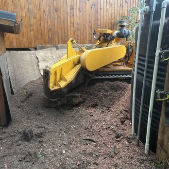 South Coast Tree Care - Grinding old redwood stump next to house and water tank - Tree Services Near Me - Brookings, Oregon South Coast Tree Care - Grinding old redwood stump next to house and water tank - Tree Services Near Me - Brookings, Oregon