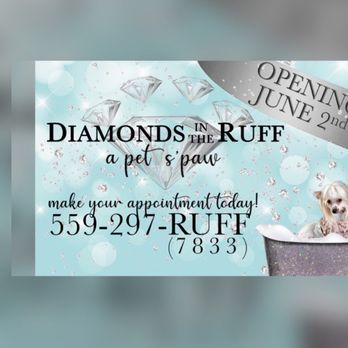 Diamonds in the Ruff - Pet Groomers Near Me - Clovis, California
