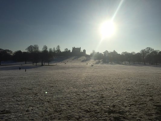 Wollaton Hall by null