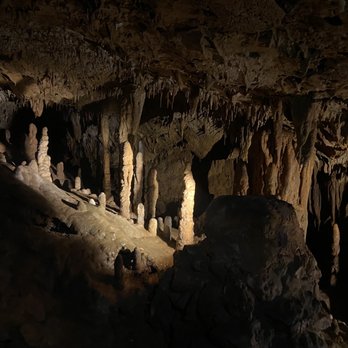 Florida Caverns State Park - Cave - Parks Near Me - Marianna, Florida Florida Caverns State Park - Cave - Parks Near Me - Marianna, Florida