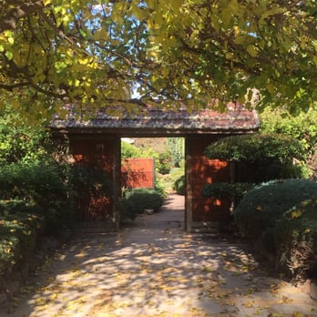 Adelaide-Himeji Garden - My obligatory Mon picture. - Parks Near Me - Adelaide, SA