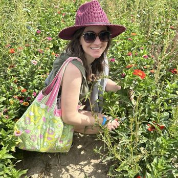 Stuckey Farm Orchard and Cider Mill - Zinnia cuttings - Farmers Market Near Me - Sheridan, Indiana