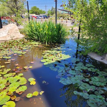 Albuquerque Biological Park - Landmarks & Historical Buildings Near Me - Albuquerque, New Mexico